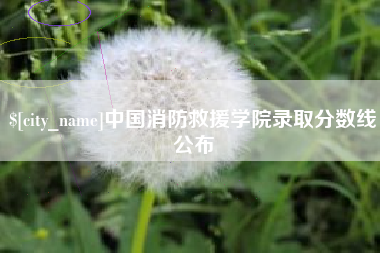 河源中国消防救援学院录取分数线公布
