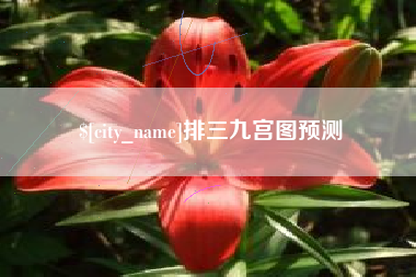 河源排三九宫图预测