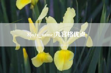 河源九宫格优点