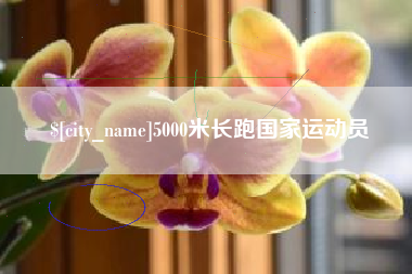 河源5000米长跑国家运动员
