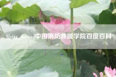 河源中国消防救援学院百度百科