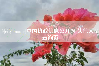 河源中国执政信息公开网-失信人员查询页