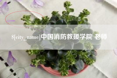河源中国消防救援学院 老师