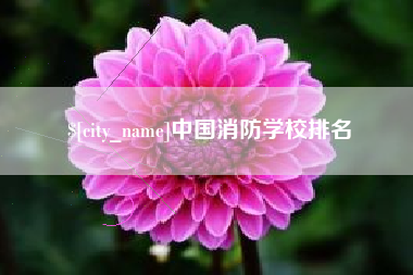 河源中国消防学校排名