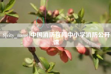 河源中国消防官网中小学消防公开课