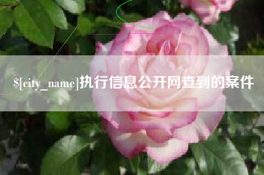 河源执行信息公开网查到的案件