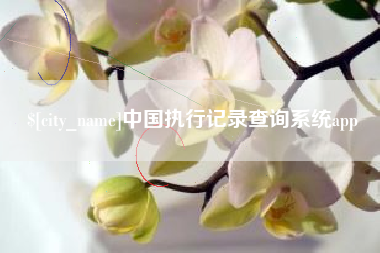 河源中国执行记录查询系统app