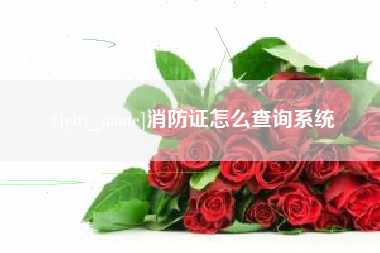 河源消防证怎么查询系统
