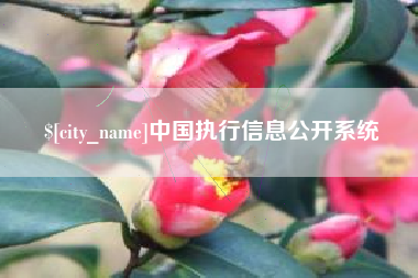 河源中国执行信息公开系统