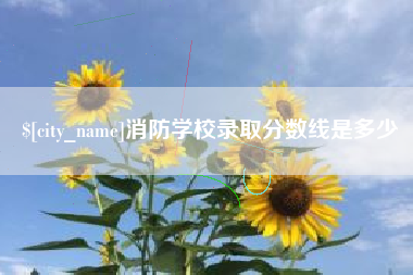河源消防学校录取分数线是多少