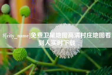 河源免费卫星地图高清村庄地图看到人实时下载