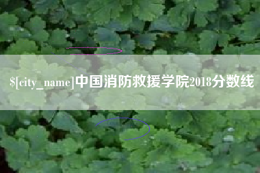 河源中国消防救援学院2018分数线