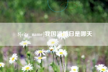 河源我国消防日是哪天
