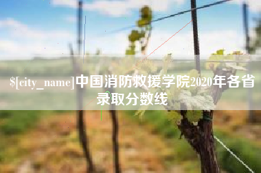 河源中国消防救援学院2020年各省录取分数线
