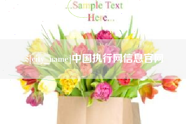 河源中国执行网信息官网