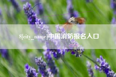 河源中国消防报名入口
