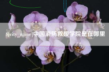 河源中国消防救援学院是在哪里