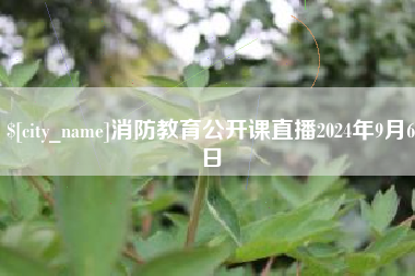 河源消防教育公开课直播2024年9月6日