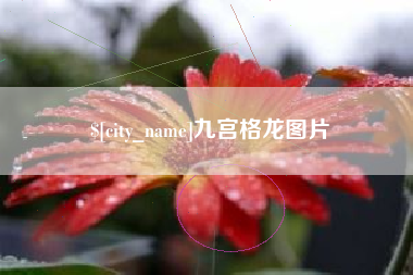 河源九宫格龙图片