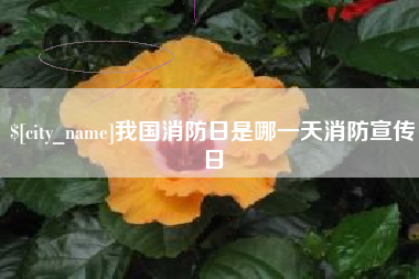 河源我国消防日是哪一天消防宣传日