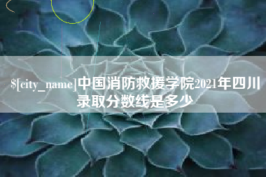 河源中国消防救援学院2021年四川录取分数线是多少