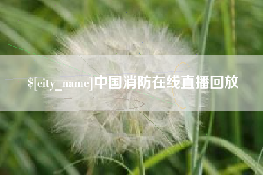 河源中国消防在线直播回放