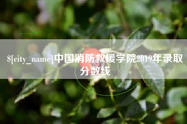 河源中国消防救援学院2019年录取分数线