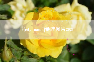 河源金牌图片2021