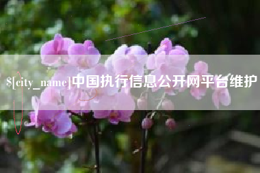 河源中国执行信息公开网平台维护