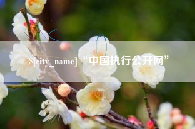 河源“中国执行公开网”