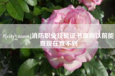 河源消防职业技能证书查询以前能查现在查不到