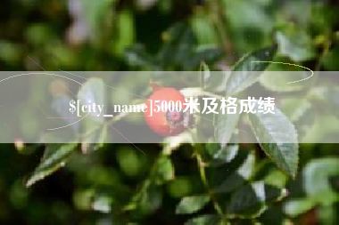 河源5000米及格成绩
