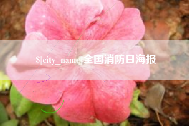 河源全国消防日海报