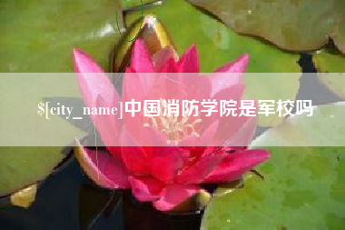 河源中国消防学院是军校吗