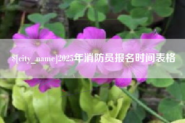 河源2025年消防员报名时间表格
