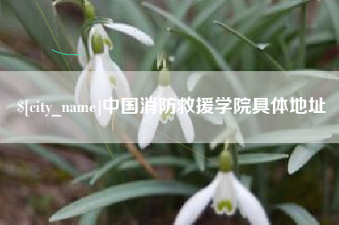 河源中国消防救援学院具体地址