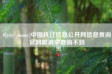 河源中国执行信息公开网信息查询官网限消中查询不到