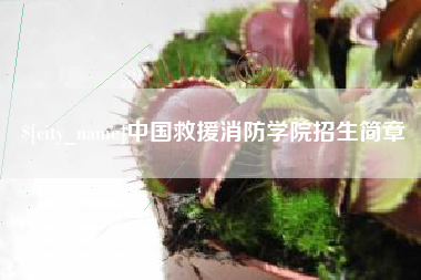 河源中国救援消防学院招生简章