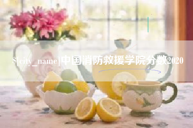 河源中国消防救援学院分数2020