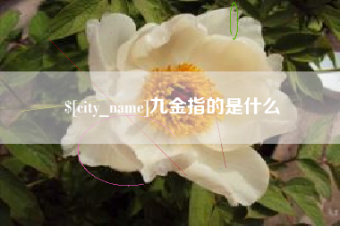 河源九金指的是什么