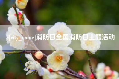 河源消防日全国消防日主题活动