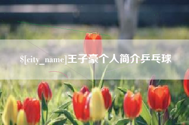 河源王子豪个人简介乒乓球