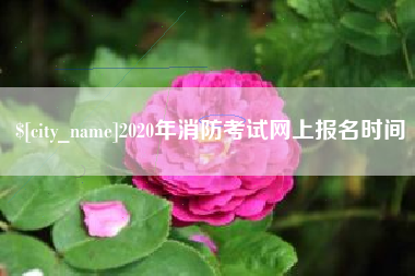 河源2020年消防考试网上报名时间
