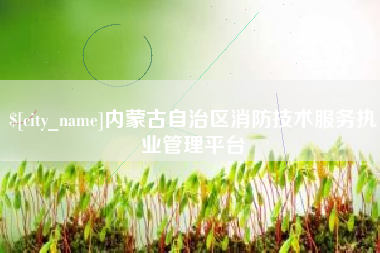 河源内蒙古自治区消防技术服务执业管理平台