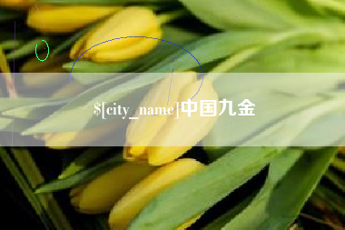 河源中国九金