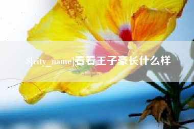 河源看看王子豪长什么样