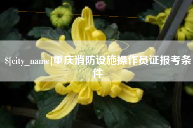 河源重庆消防设施操作员证报考条件