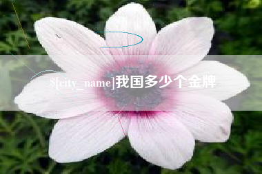 河源我国多少个金牌