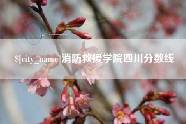 河源消防救援学院四川分数线