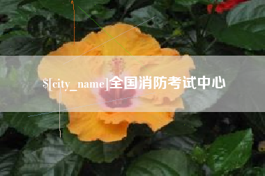 河源全国消防考试中心